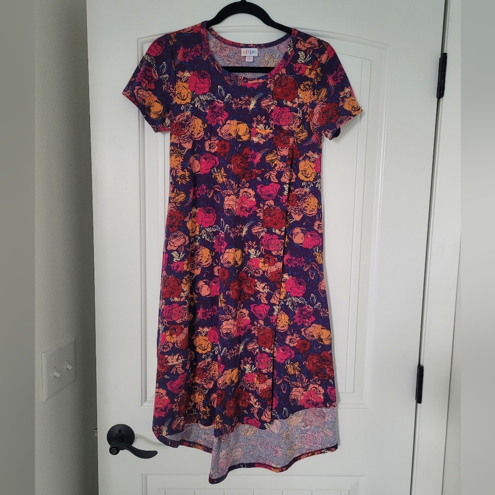 💥NEXT OFFER TAKES IT💥 Lularoe Carly Dress